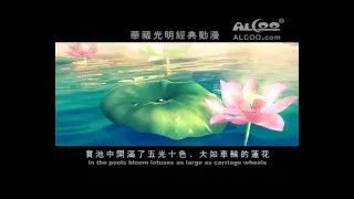 《佛說阿彌陀經》上集 動畫 極樂世界清晰版 高清