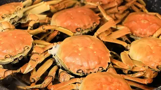 Chinese Drunken Crab Recipe: Don't Miss Out The Delicacy (醉蟹)