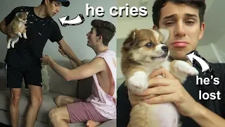 I LOST YOUR DOG PRANK ON BOYFRIEND! He Cries A LOT..