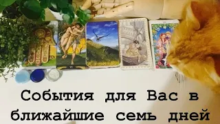 События недели🌈Таро🪐Книга судеб