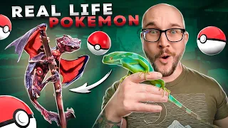 5 Real Life Pokémon You Can ACTUALLY OWN! Pokémon Reptile Alternatives!