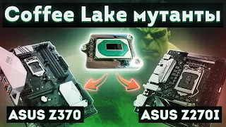 Coffee Lake мутанты на платах ASUS z270 и z370. QQLS и QQLT.