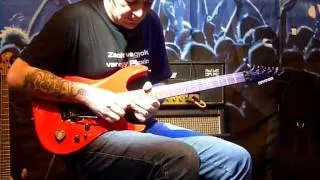 Vámos Zsolt - Hangfoglalás 2011 - Gary Moore - The Loner