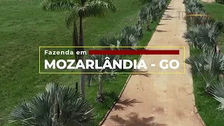 Fazenda Mozarlândia - GO - 1.478,62 hectares (305,5 alqueires)
