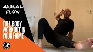 Full body workout in your home with Animal Flow