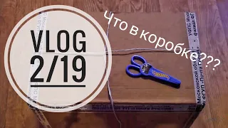 VLOG 2/19 // Я В ШОКЕ!!! // ЧТО В КОРОБКЕ??? // НОВЫЙ ПРОЦЕСС // Mariya VD.