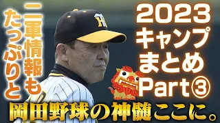 【実戦まとめ】もうすぐプロ野球のお正月「春季キャンプ」！宜野座の一軍はもちろん具志川の二軍情報もたっぷりと！その前に復習です。阪神タイガース密着！応援番組「虎バン」ABCテレビ公式チャンネル