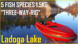 5 FISH SPECIES 1.5KG "THREE-WAY-RIG" | Ladoga Lake | rf4 spot #mjplay  Russian Fishing 4