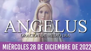 Ángelus de Hoy MIÉRCOLES 28 DE DICIEMBRE de 2022 ORACIÓN DE MEDIODÍA