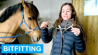 Bitfitting; alles over het juiste bit voor jouw paard! | felinehoi