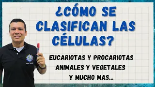 COMO SE CLASIFICAN LAS CÉLULAS. EUCARIOTAS Y PROCARIOTAS. CIENCIAS CON IRWIN