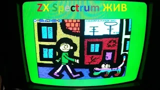 ZX Spectrum. Ленинград 48- 128+AY восстановление.