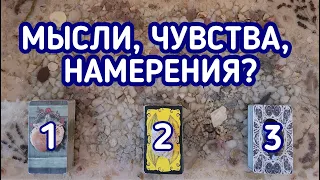 Мысли, чувства, намерения? | 3 варианта | Гадание онлайн | Таро расклад | Таро терапия Души