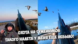 Охота на гуся в Якутии. Такого у нас еще не было!