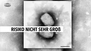 Ärztliche Einschätzung des Affenpocken-Virus | RON TV |