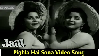 Pighla Hai Sona Video Song || Jaal Movie || Dev Anand, Geeta Bali || Eagle Mini