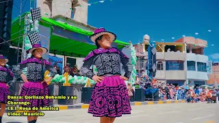 Danza Qorilazo Bohemio y su Charango I.E.I. Rosa de América - Festival de Danzas Quiñota 2023