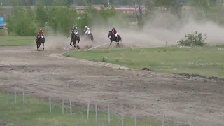 Скаковой день 12 июня. Дистанция 1600 м. Найт Шот