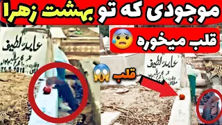 موجودی وحشتناک بزرگ تو بهشت زهرا 😱😱 قلب آدمارو میکنه ببینید چیکار میکنه باهاشون کاملا واقعی