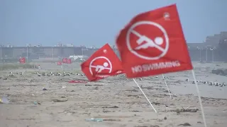 Officials close beach after shark bites woman in leg