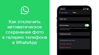 Как отключить автоматическое сохранение фото в галерею телефона в WhatsApp