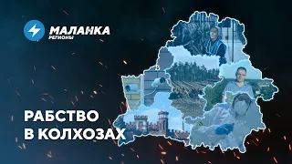 📍Рабство в колхозах / Арест за видео ветра / Распил госбюджета