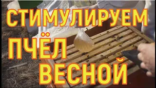 Весенняя стимулирующая подкормка пчелиных семей