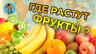 Где появились ФРУКТЫ?