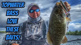 TOPWATER BASS LOVE THESE BAITS- New full length episode!