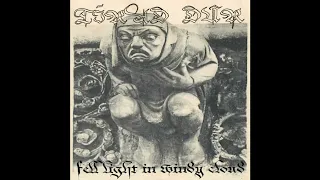 Tírad Dûr (US) - Fell Light in Windy Cloud (Demo) 2022