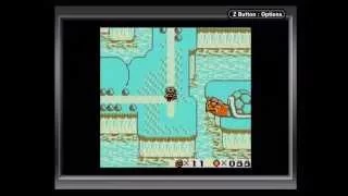 Super Mario Land 2: 6 Golden Coins No-Death Playthrough (Game Boy Player Capture) - Turtle Zone