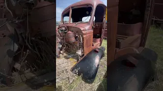 So many cab overs in this yard it’s crazy #junkyard #scrap #cabover #coe #scrapyard