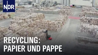 Nicht von Pappe - Wie Papier hergestellt und recycelt wird | Die Nordreportage | NDR Doku