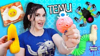 Temu Haul! New Squishy And Fidget Review