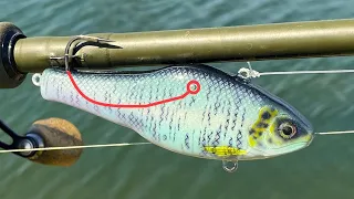 Snag Proof? Internal Hook Lipless CrankBait | One Day Build to Catch