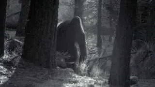 Creature in the Giant Sequoias