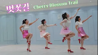 Cherry Blossom  Trail Line Dance 벚꽃길 라인댄스