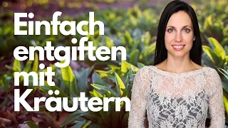 ENTGIFTUNG | Frühjahrsputz von innen mit Bärlauch, Koriander und Spirulina