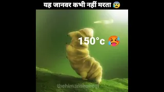 TARDIGRAD जो कभी नहीं मरता 😱 #shorts #youtubeshorts #animals