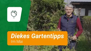 Diekes Gartentipps im Mai