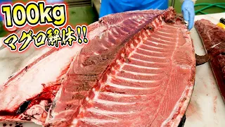 最大240kg！過去数千本のマグロを捌いた男の解体をご覧ください。