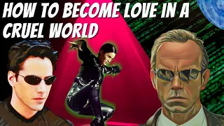 How To Become Love In A Cruel World  [Reduce Entropy With 3 Easy Steps]