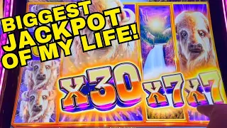 OMG!!!! BIGGEST JACKPOT ON YOUTUBE ON BUFFALO CHEIF PLAT! UNBELIEVABLE!  MY BIGGEST JACKPOT EVER!