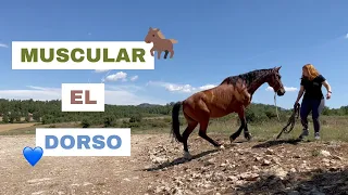 ¿Cómo musculo el dorso de mi caballo? | Laia x Xaloc