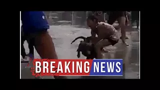 Pitbull attacks a young girl as she plays in a fountain in Mexico City