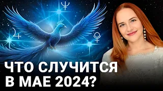 СИНЯЯ ПТИЦА УДАЧИ В МАЕ 2024: Астрологический прогноз Марины Вергелес