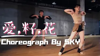 爵士舞跳起来🎶🎶「爱.籽.花」张钰 || 编舞：SKY || "Love, Seed, Flower" - Yu Zhang 💃 Choreograph By SKY