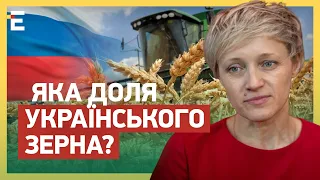 ДЕМАРШ росії проти зернової УГОДИ: яка ДОЛЯ українського ЗЕРНА?