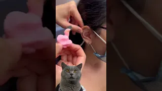 Someone Think This Looks Relaxing🥴👀👂| Funny Cat TikTok Challenge #funnycat #catsoftiktok  #shorts