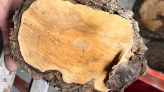 Woodturning - Red Oak Burl!